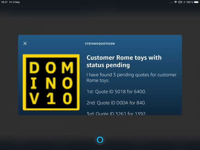 Amazon ALEXA iPad 02